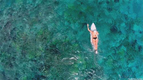 新加坡銀行開戶近期爲何如此火爆！新加坡三大銀行介紹