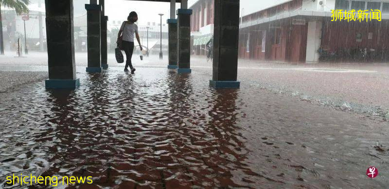 去不了威尼斯?新加坡多地今早成“水乡泽国”