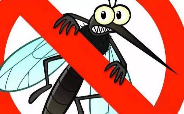 祸不单行！新加坡骨痛热症又开始肆虐了