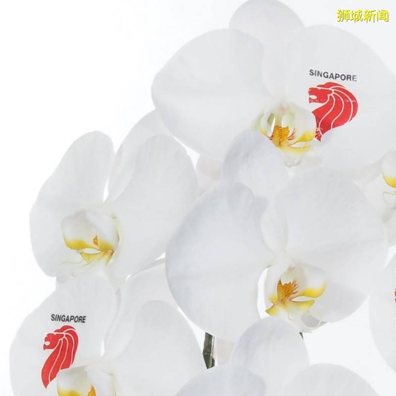 新加坡國慶大促，省錢就看這一貼！錯過再等一年