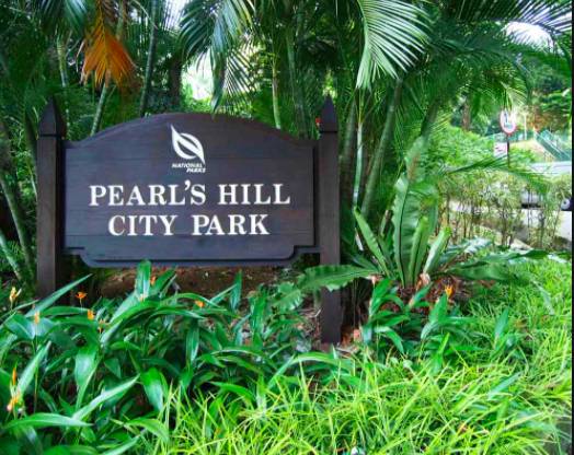 在CBD也可以擁抱綠色自然——細數新加坡那些鬧中取靜的Secret Garden