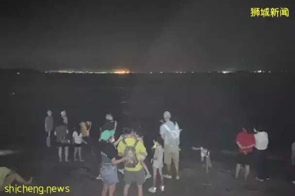 新加坡現“藍色螢光”海浪!這裏擠滿了人,沿路交通擁堵