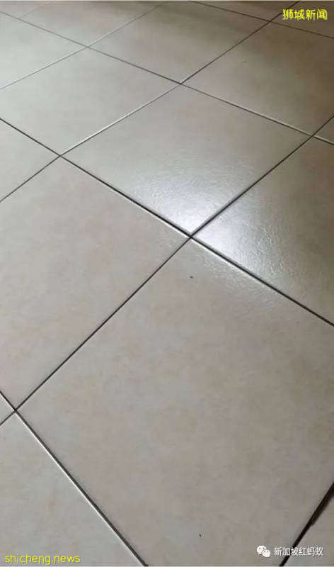 獅城患病母子住在破舊屋子　沒錢看醫生冰箱內全是黑色的東西!