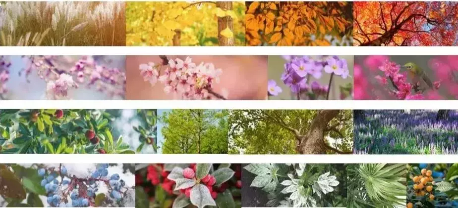 生活在新加坡度假式園林中，是一種什麽體驗