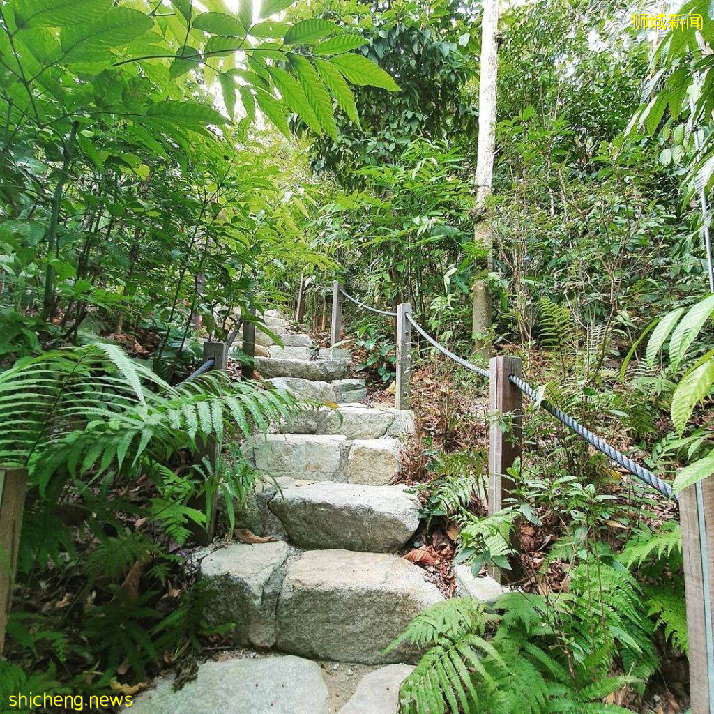 植物園Gallop Extension攻略🌳山脊小徑+戶外遊樂設施+森林探秘館+藝術畫廊、走進大自然
