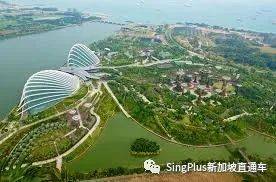 新加坡的野生动物也太不好惹了吧