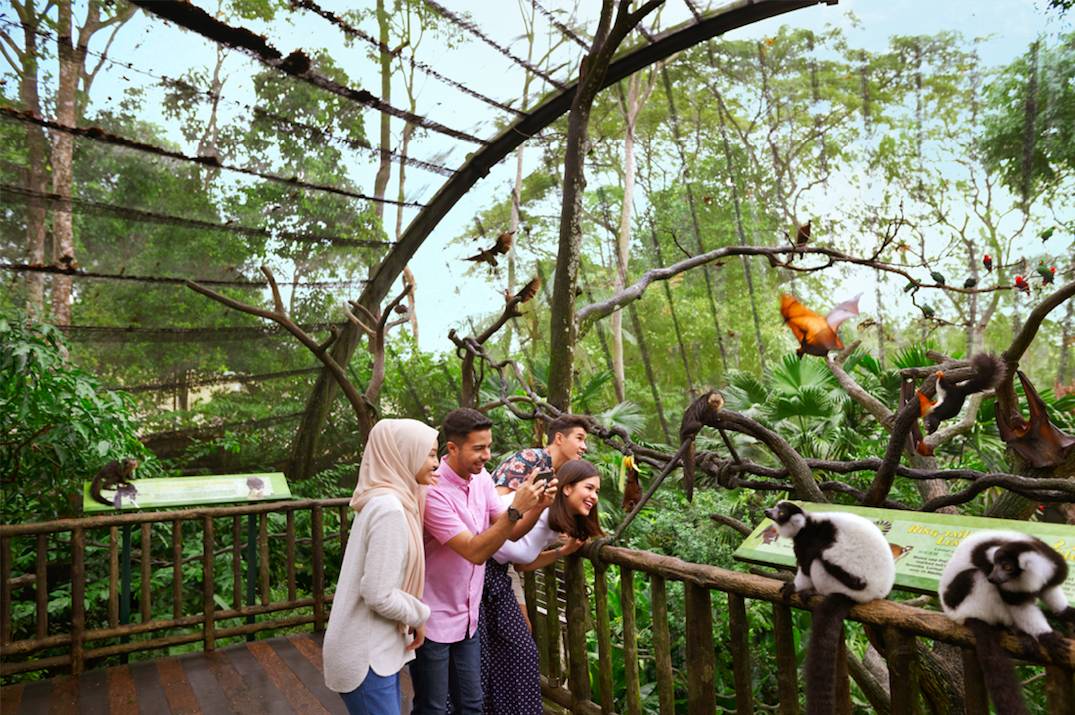 漫游狮城 收藏!新加坡十大必打卡景点