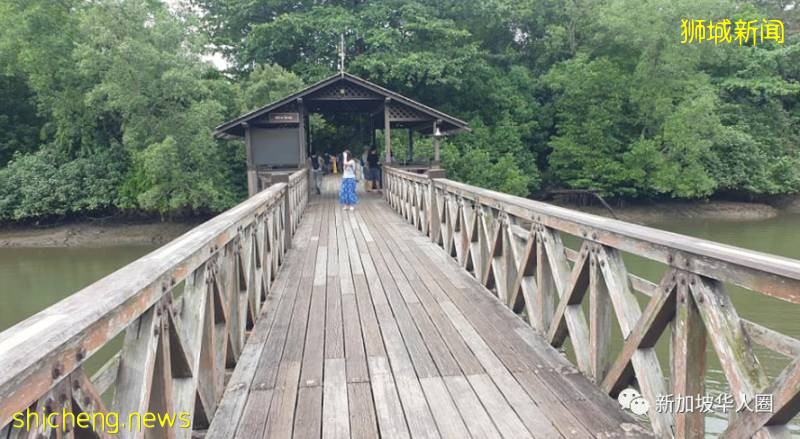 何時能從新加坡回家看家人，好久不見，你還好嗎？這麽近那麽遠!