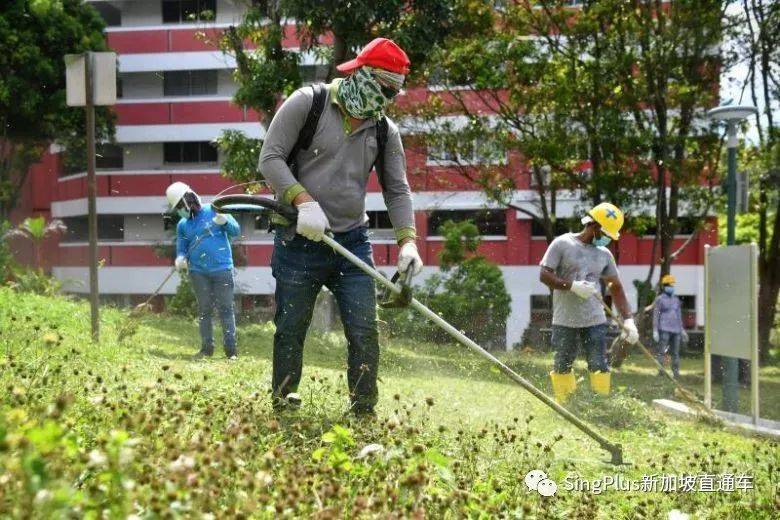 新加坡客工的難，絕不是從這次疫情開始的