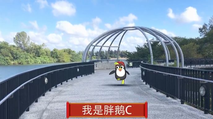 正月十五闹元宵，新加坡榜鹅一位特殊“小朋友”带你走进这座21世纪城新典范城市