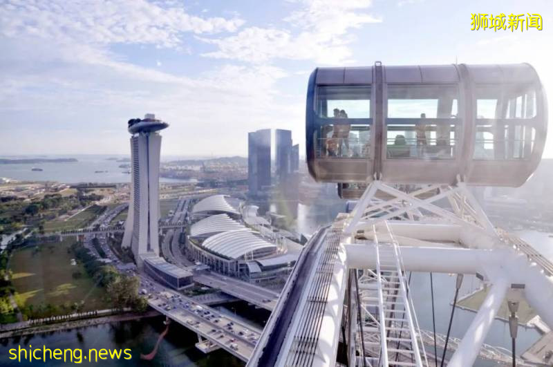 重磅！！PEP VS EP准證最全解析！看進來