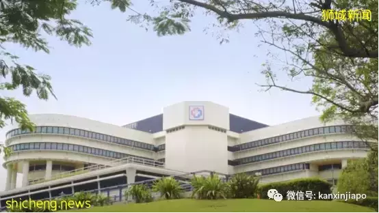 在新加坡育兒，與中國有哪些不一樣