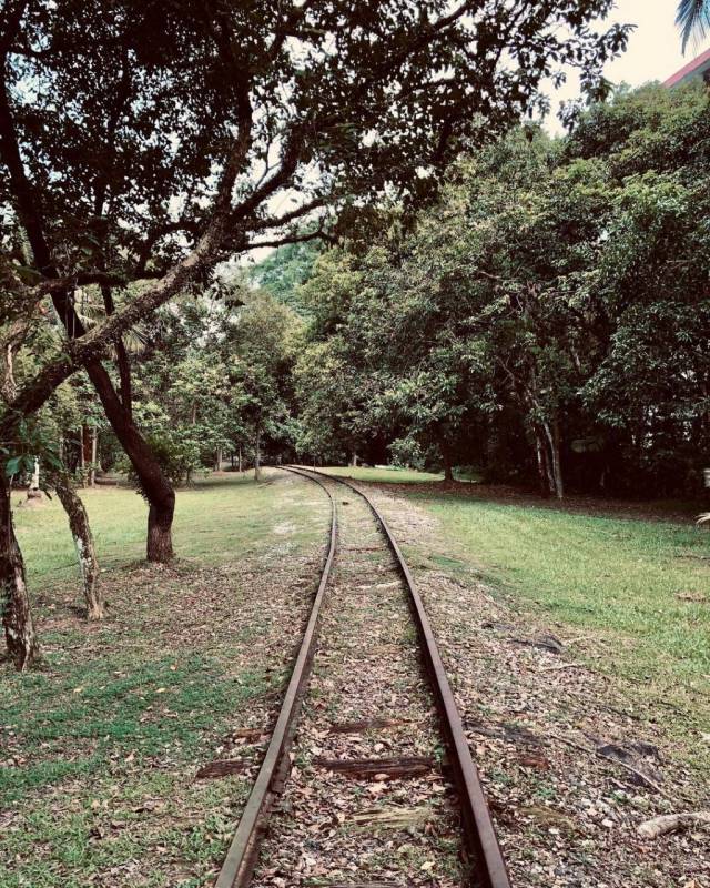🚥通往裕廊的廢棄鐵路🚞 新加坡隱秘的角落,徒步探險、攝影愛好者秘密基地 🧭