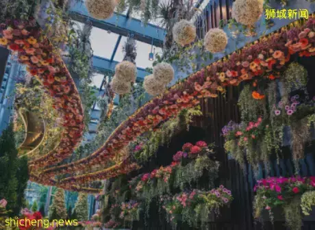 你以为的新加坡真的是你以为吗