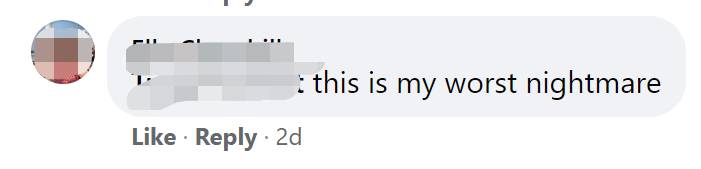 突發！這個海灘驚現一群巨型椰子蟹，還搶燒烤吃！新加坡也被鳄魚、蜥蜴、蟒蛇、水獺、猴子、野豬、野雞嚇到過