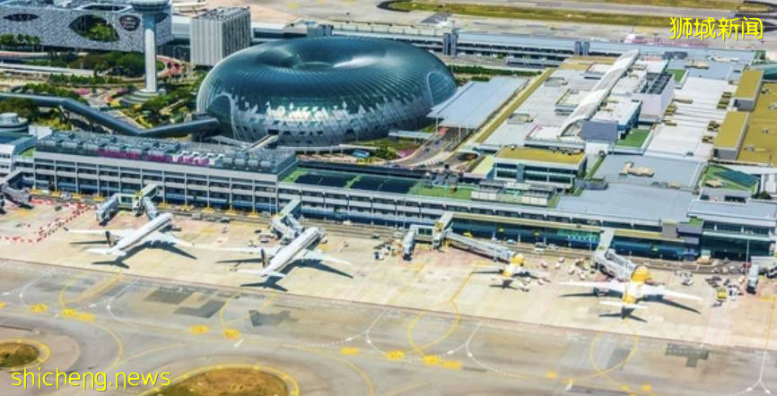 新加坡允許千人聚會!防疫一夜躺平,最大原因竟在這!部長:會有更多感染和死亡