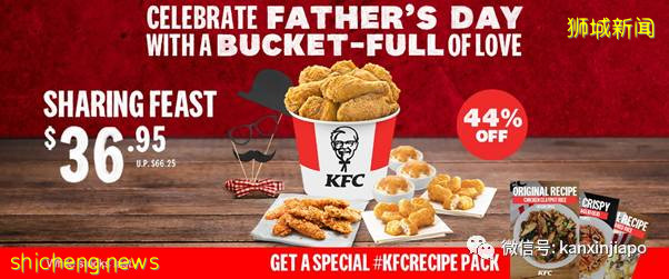 【下周活動】父親節優惠，麥當勞BTS套餐，新加坡動物園75折