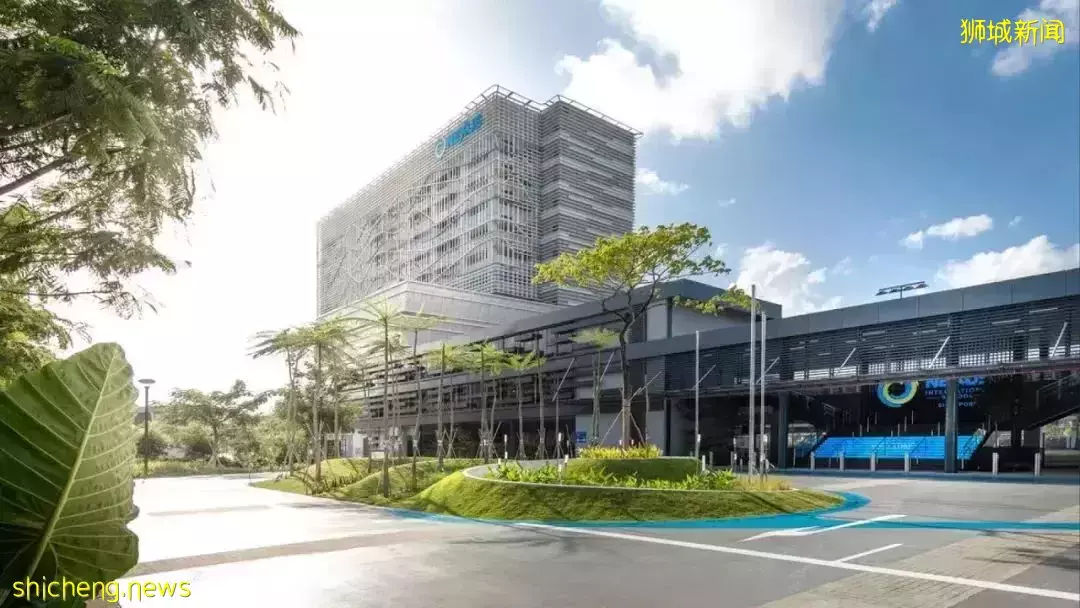 如何选择学校?新加坡最受欢迎的十所国际学校了解一下