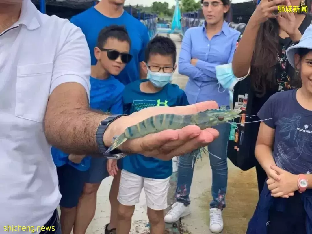 總統府開放！冰淇淋博物館門票免費！$1.9生蚝！美滋鍋5折！自助餐買1送1