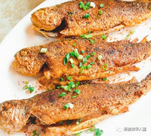 新加坡這家海鮮音樂餐廳要火！人均不到$40，還有現金紅包免費領