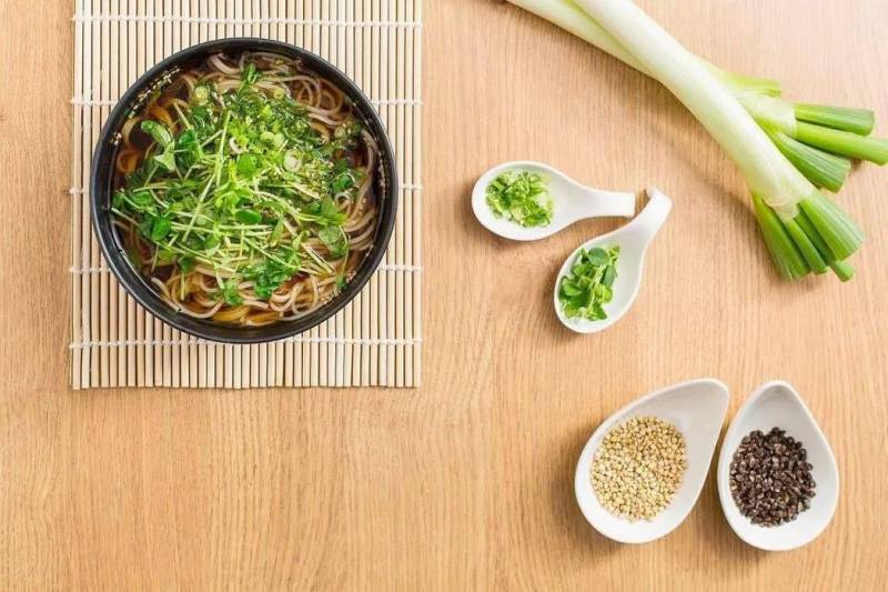 面食系列 搜尋新加坡最正宗的日本荞麥面，低脂健康的美食戰鬥機