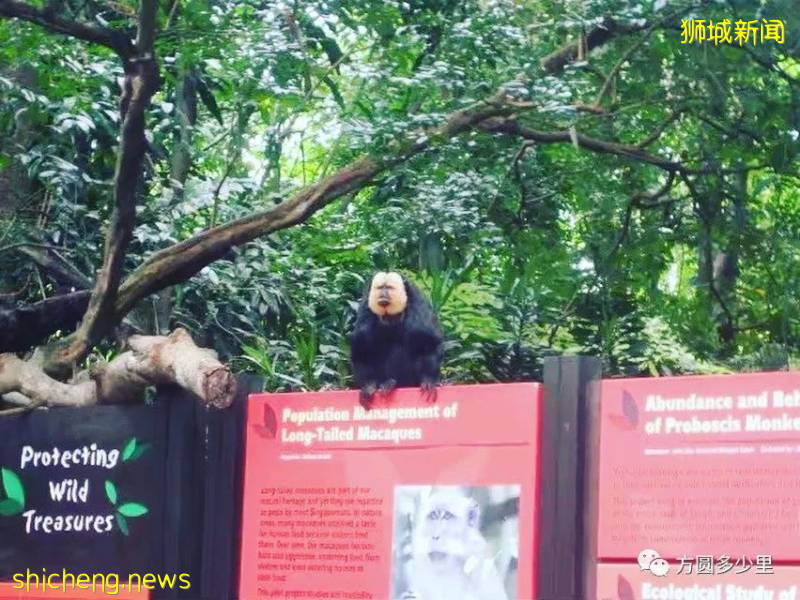 北緯1°，遇見新加坡