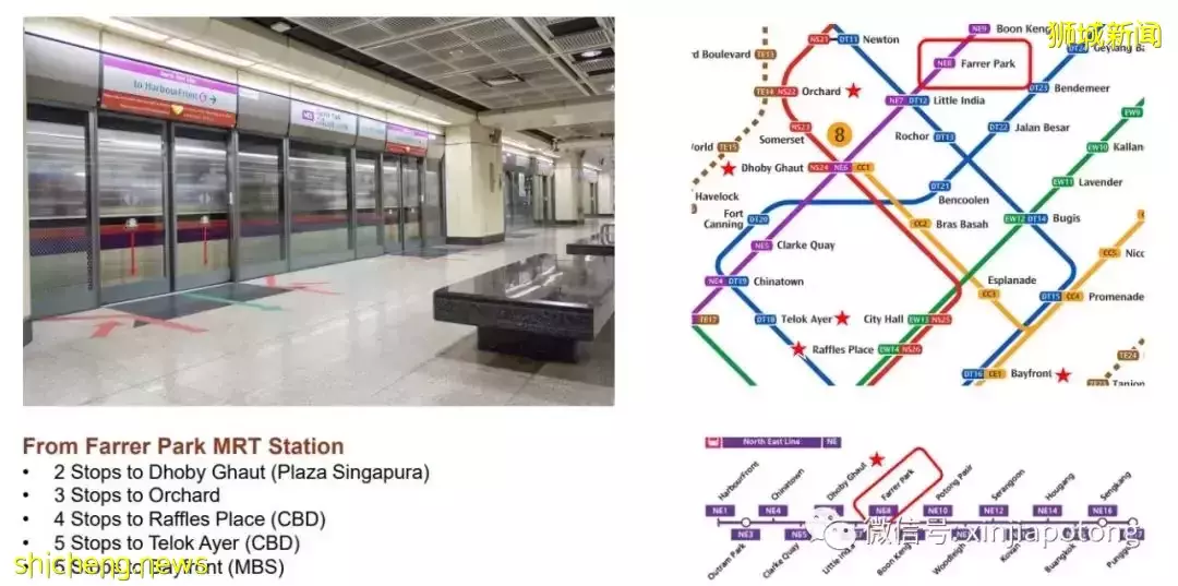 新加坡成富豪的避风港,把钱放这里“真香”?普通人怎么办