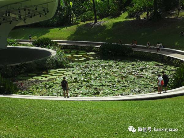 “在新加坡外出都不愁下雨没带伞,也不怕晒到炽热太阳”