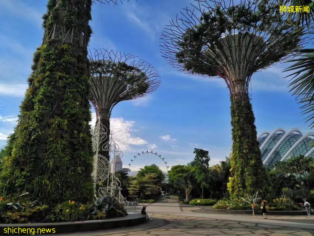 留学新加坡,带你了解新加坡丰富的夜生活