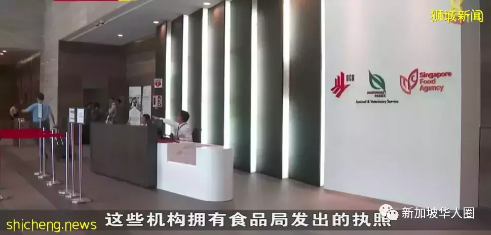 新加坡宣布再撒超1.45亿新币给1.9万名雇主!约29万本地员工受益