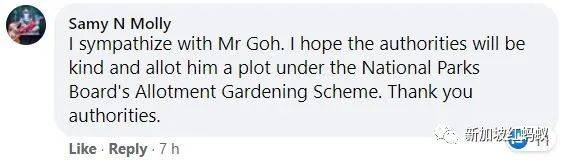 獅城“陶淵明”花10年悄悄在叢林裏開拓“世外桃源”　一朝被徒步者舉報，被令撤離