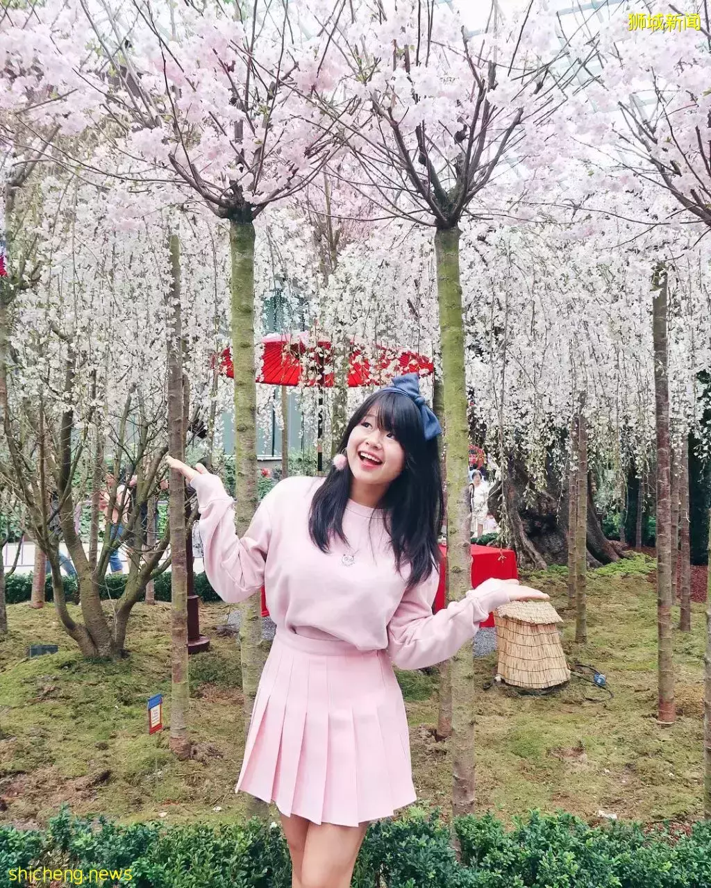 三月份吃喝玩樂攻略🎊 S$14.80餃子吃到飽、一年一度櫻花展、限定下午茶、新店開張