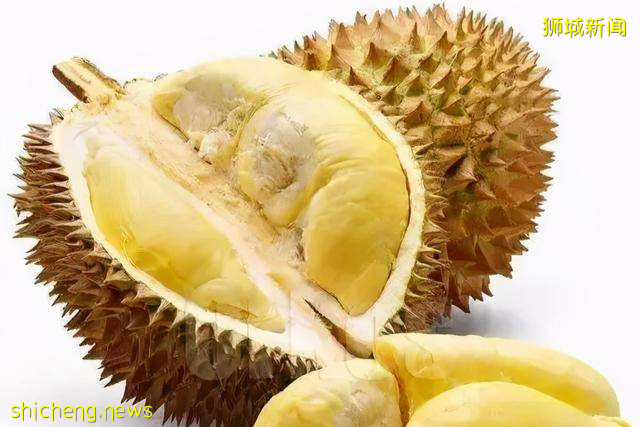 那些奇奇怪怪的知识(新加坡下)