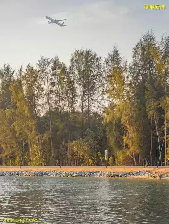 新加坡最新网红景点!风景绝美必打卡