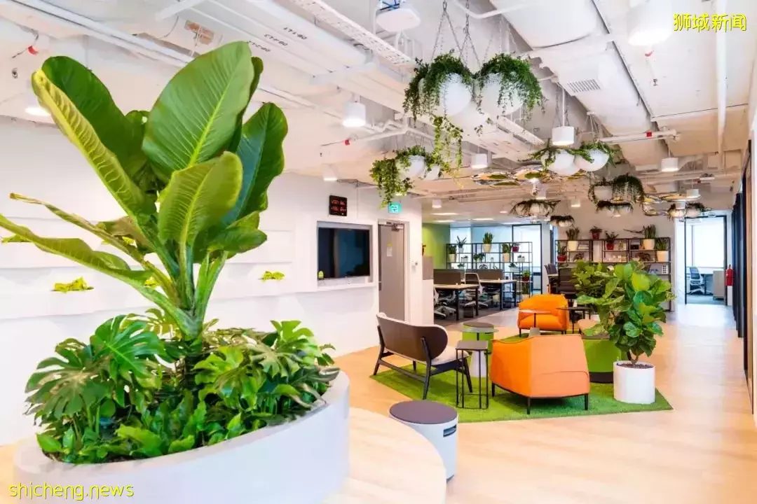 尽管员工可回办公室上班,但新加坡共享办公空间需求不减反增