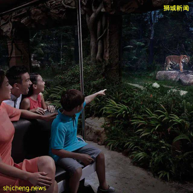 【下周活动】富丽敦酒店买一送一、披萨半价、夜间动物园促销