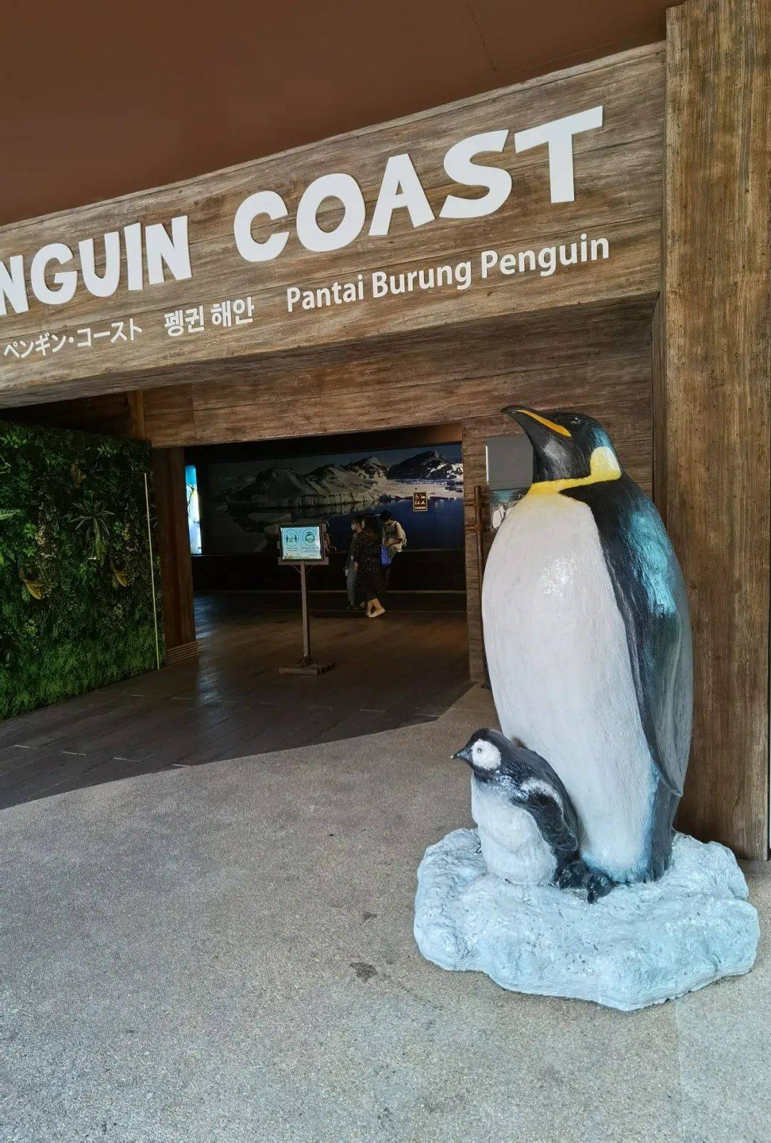 免費送票!帶倆娃嗨翻亞洲最大飛禽園,400多種5000多只鳥,一路驚喜不斷