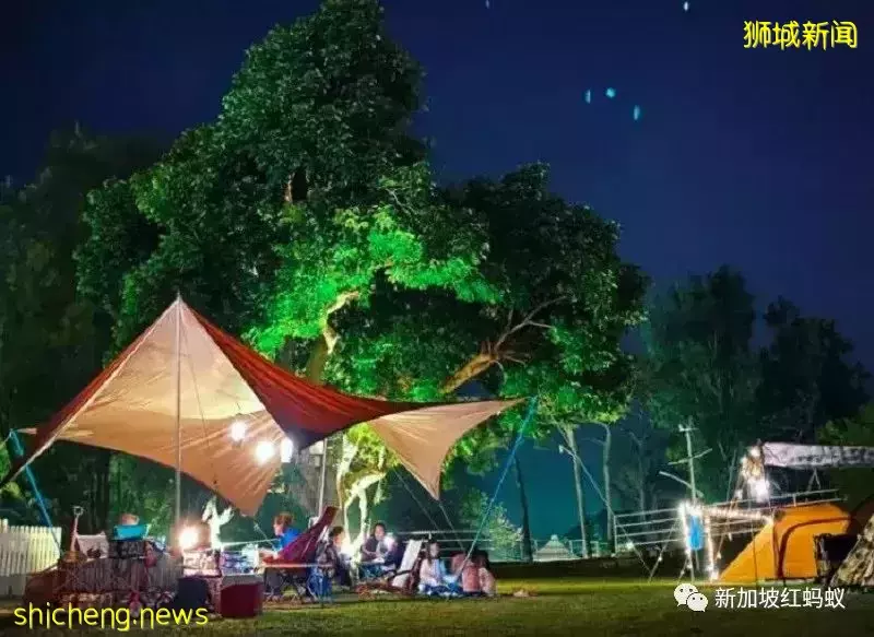 中港掀起豪華露營風　一晚850新元可能還訂不到