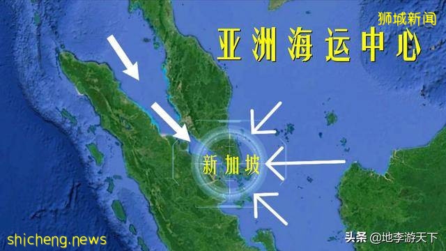 新加坡是一个怎样的国家?除了海运贸易,有一点很多人却不知道