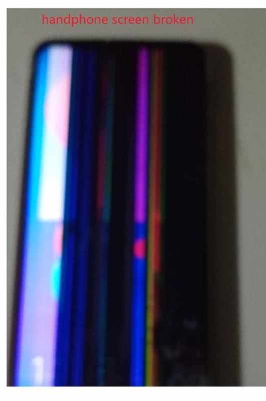 公园夜跑被绊倒,新加坡政府处理流程全记实