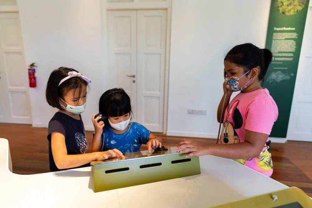 溜娃新去處!新加坡植物園推出新景點!COMO小樹林、巨型波羅蜜、探秘館、藝廊開放啦