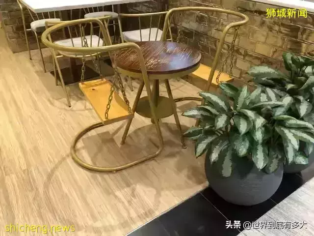 45张照片,带你见识新加坡,不为人知的另一面