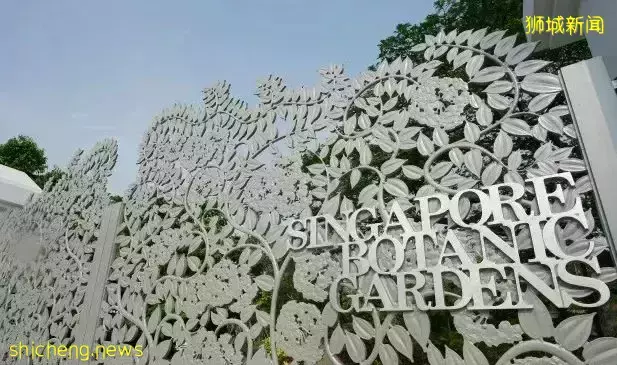 新加坡 3 Cuscaden【D10郵區 緊鄰烏節路地鐵站 稀有永久地契 五星級社區配套的城中豪華公寓】