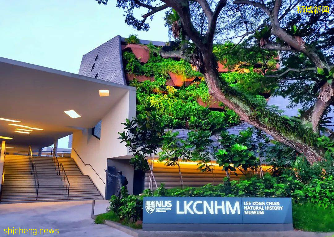 【新加坡留学】“抢人”大战升级！两大高校提前公布22年硕士入学申请时间