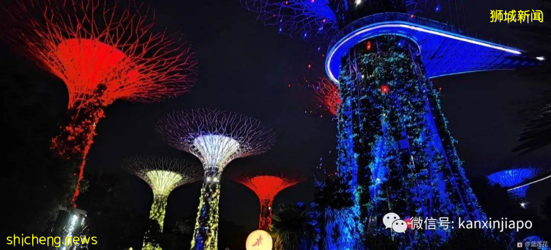 新加坡親子好去處！濱海灣～花穹～雲霧森林～空中步道半日遊