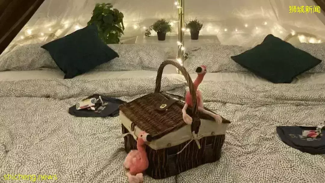 小朋友超爱！裕廊飞禽公园露营！和火烈鸟一起度过美好夜晚