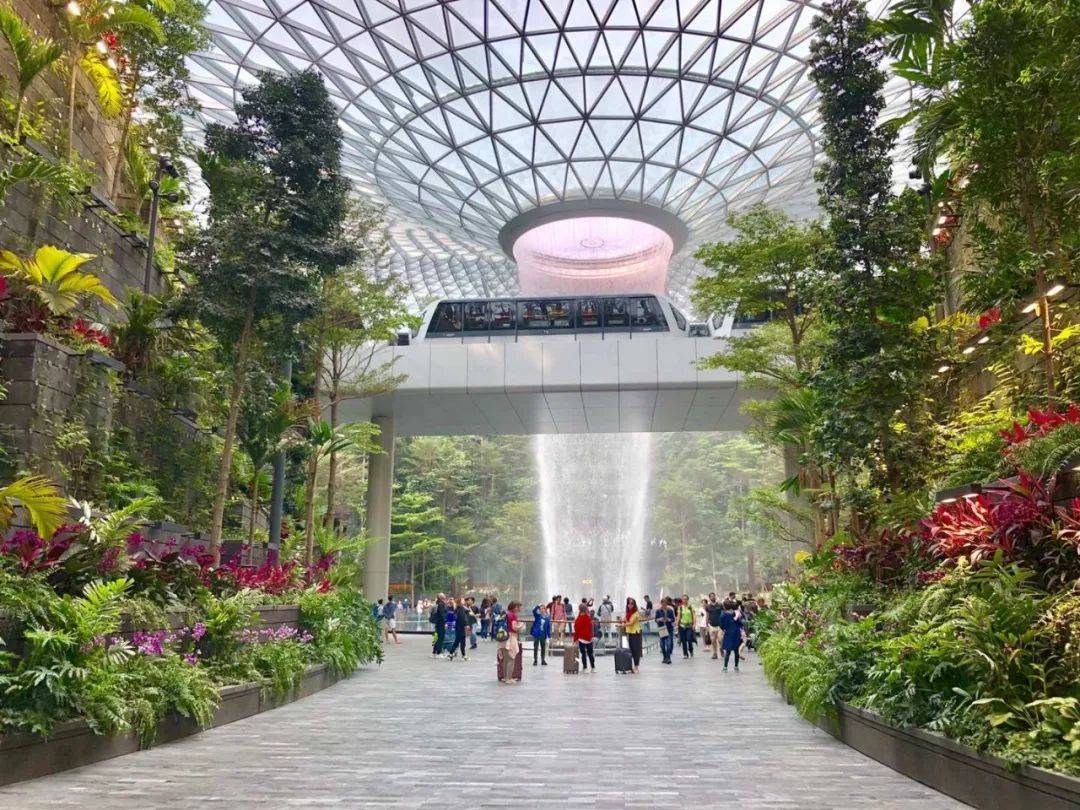 擠！爆！了！2020在家待了一整年，年底了，全新加坡的人都上街排隊