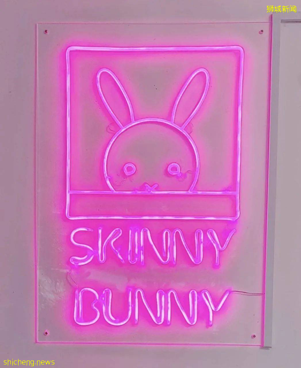 萌翻了！美食+萌寵，這家粉粉嫩嫩的兔子餐廳，你一定要去一次