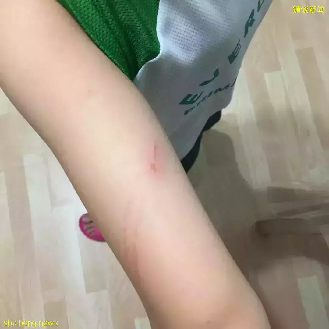 監控下真實一幕：新加坡幼師掌掴1歲男嬰7次、用力拍背20次、猛摔在地