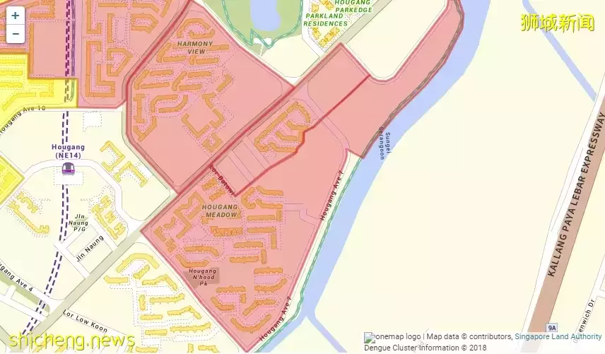 新加坡又爆发一疫情!部长说处于紧急阶段!孕妇染病进了ICU,直呼太可怕